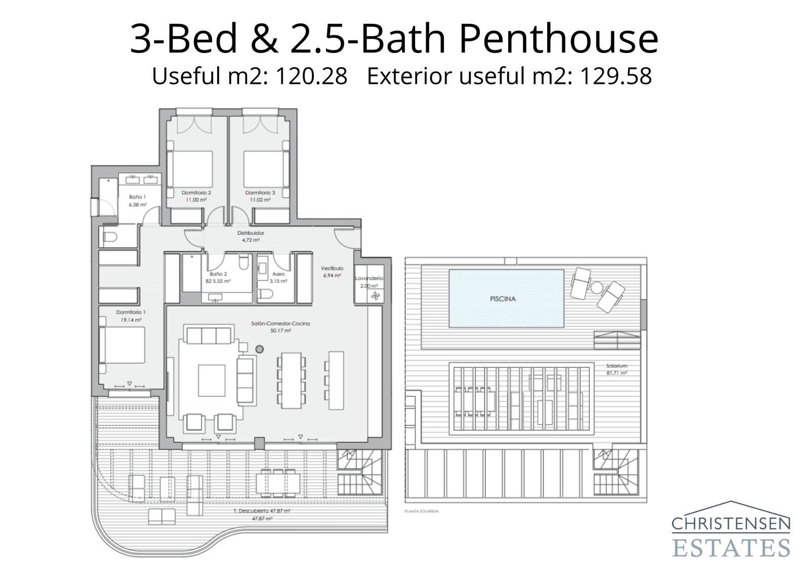 Der Grundriss dieser Dreizimmer-Dachgeschosswohnung zeigt ein zweistöckiges Design mit einem weitläufigen Dachsolarium und privatem Pool.